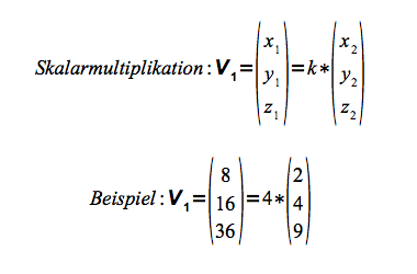 Multiplikation mit einem Skalar
