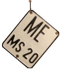 ME-MS 20